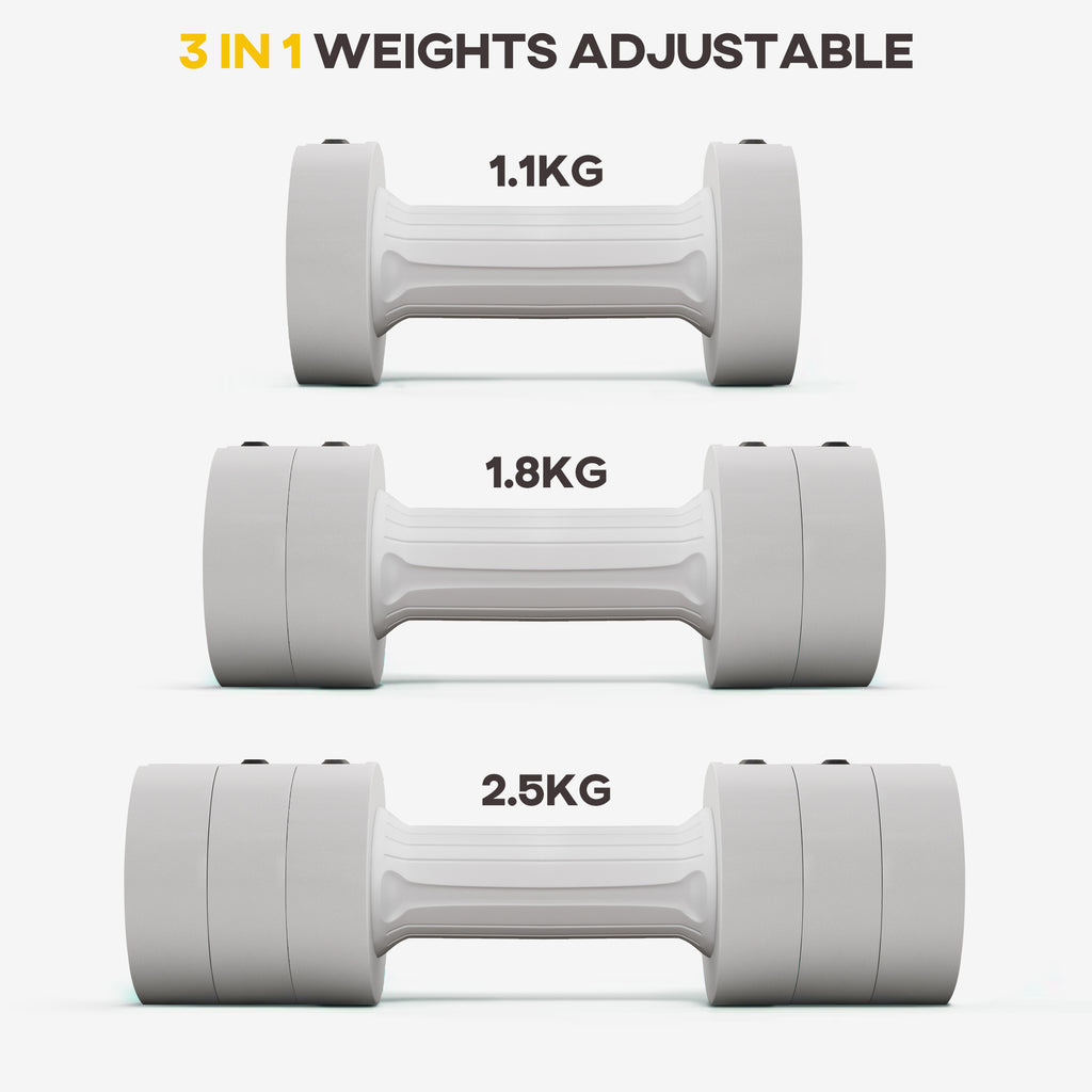 Adjustable Dumbbells Set (2.5KG X 2)