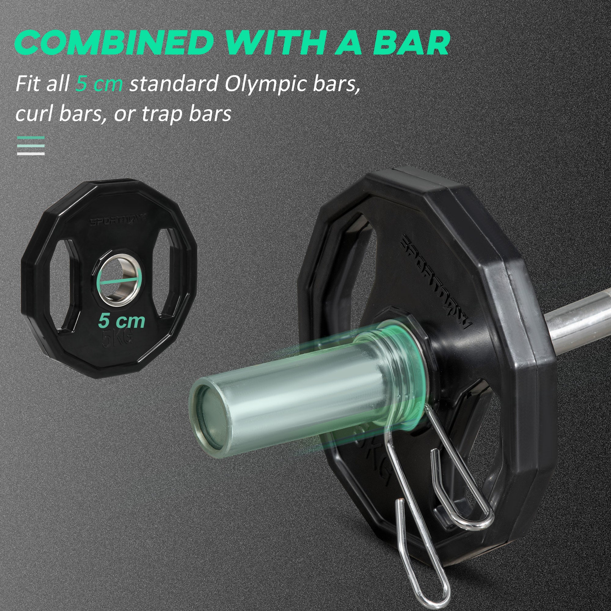 Olympic Weight Plates  (2 X 5kg)