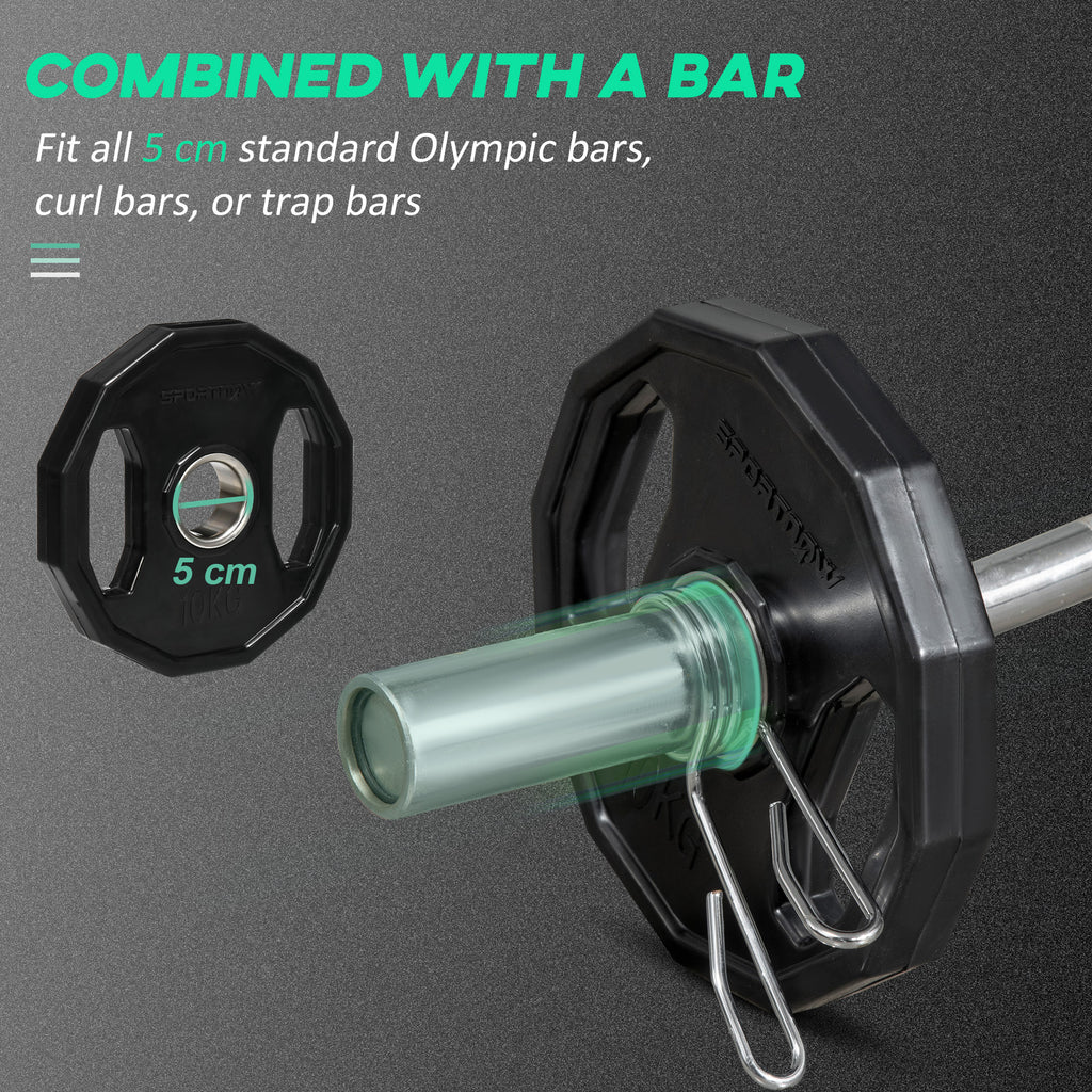 Olympic Weight Plates (2 X 10kg)